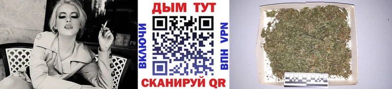 кракен онион  Бабушкин  Бошки марихуана сатива 